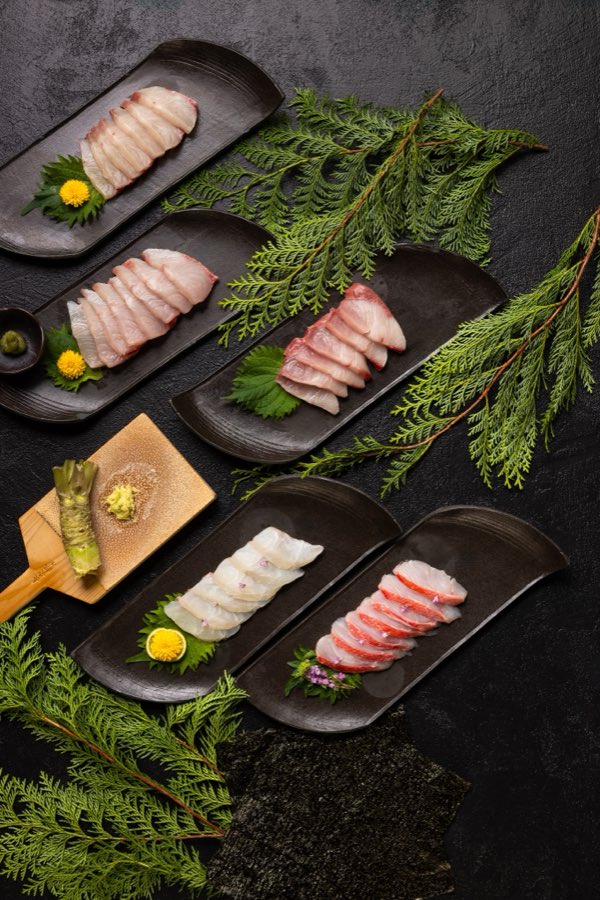 A sashimi selection, plated